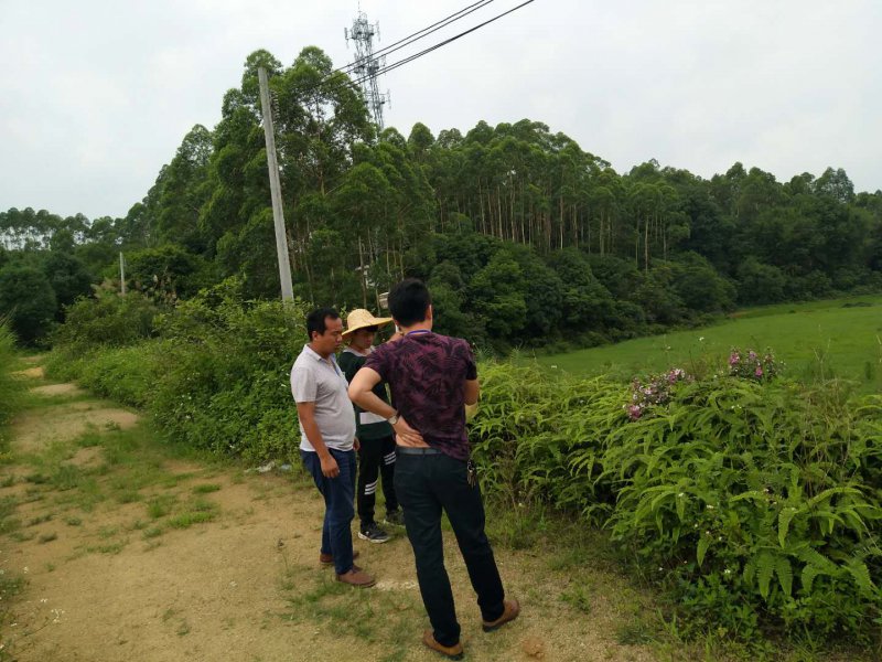 ������Ϣ