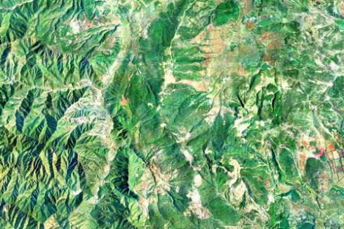 �y�L����