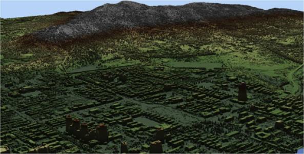 �y(c��)�L����